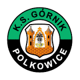 Górnik Polkowice (fot.wikimedia.pl)