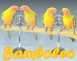 Bamboleo
