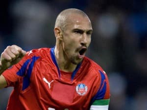 Larsson jako gwiazda krajowych rozgrywek