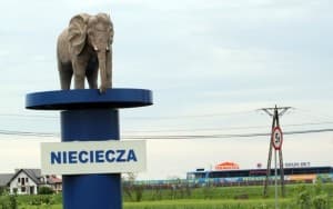Nieciecza