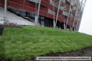 Trawa na skarpach wokół stadionu