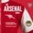 TheArsenalShirt