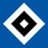 HSV English