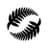 New Zealand Football 🇳🇿