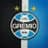 Grêmio FBPA