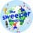 The Sweeper