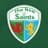 The New Saints FC