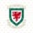 FA WALES