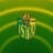 NK Istra 1961