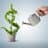 World Business News