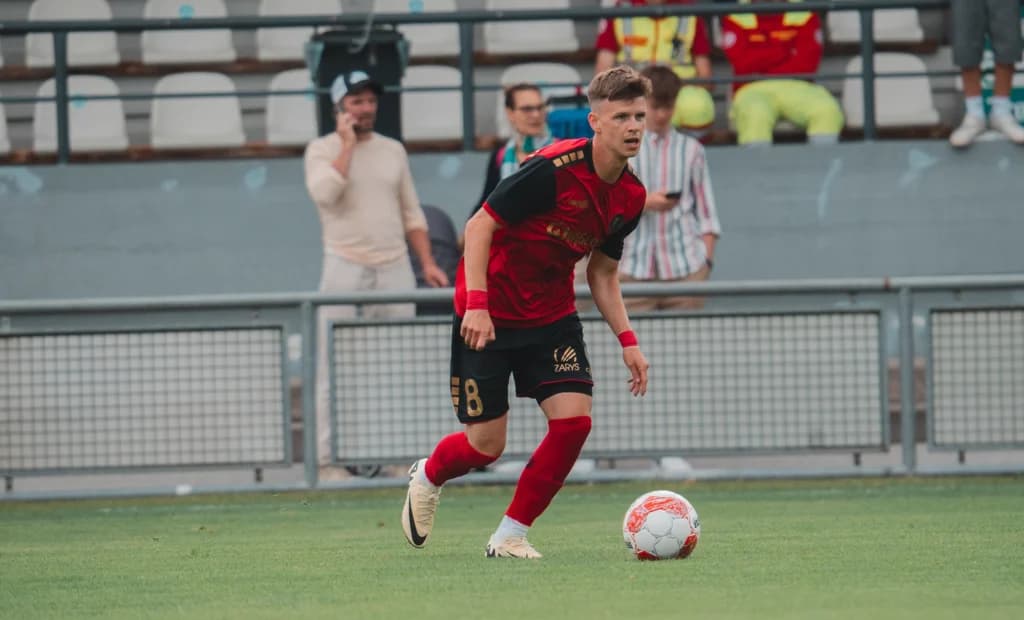 Patrik Hellebrand, Górnik Zabrze