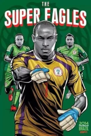 Super Orły są gotowe na mundial w Brazylii