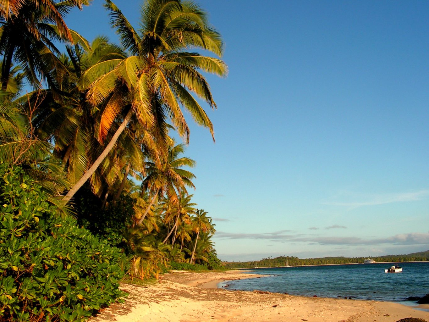 Marzenia się spełniają – Fidżi gromi Honduras
